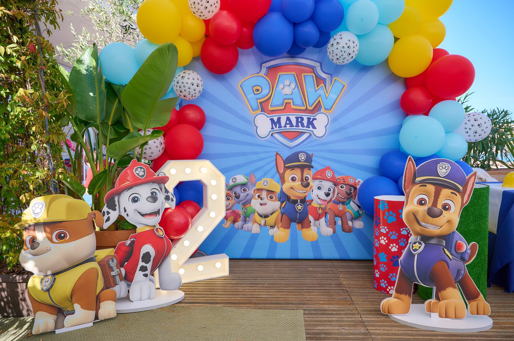 Paw Patrol backdrop